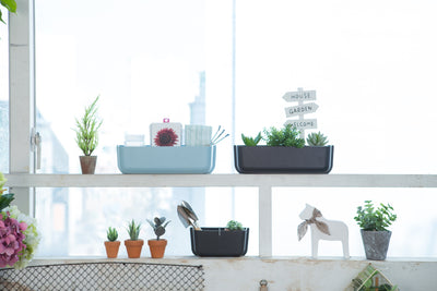 Litem | Wall Mounted | Organizer |  Mint | Myroom | For Office  Home & Kitchen