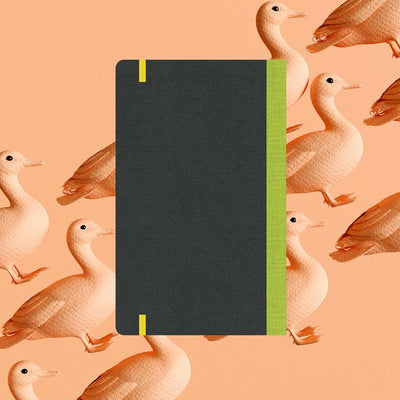 Flexbook | Flex Global | Open Date Light Green | A5 | Elastic Band Closure