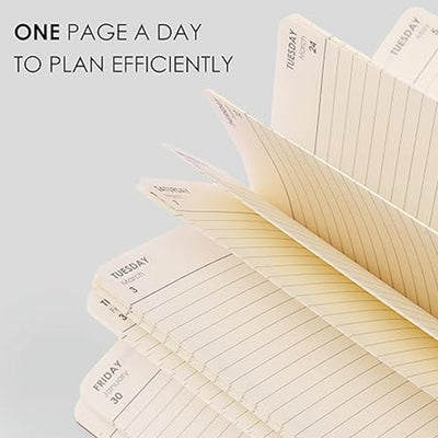 myPAPERCLIP 2026 Daily Planner M1 | Medium Size | Mint | Soft Cover | 384 Pages, 80 GSM | Mint - penpencilink