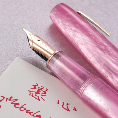 Penlux | Fountain Pen | Concerto | Rose Nebula | Rose Gold Trim - penpencilink