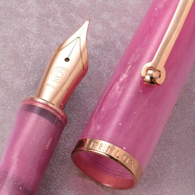 Penlux | Fountain Pen | Concerto | Rose Nebula | Rose Gold Trim - penpencilink