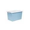 Litem | Prime Living Box | Organizer Box | 17 Liters | Mint