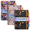 Pukka Pad | B5 | Subject book | Pack of 3 | Black Blue Cream