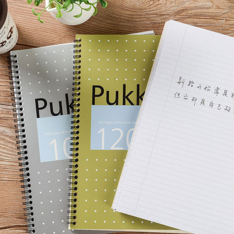 Pukka Pad | A5 | Metallic Vellum