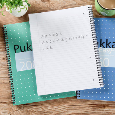 Pukka Pad | A4 | Metallic Easy Writer