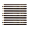 Stabilo | All Graphite Pencil | 12 Count Pack Of 1 | Brown