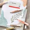 Stabilo | Swing Cool | Nature Colors | Umber | Pack Of 10