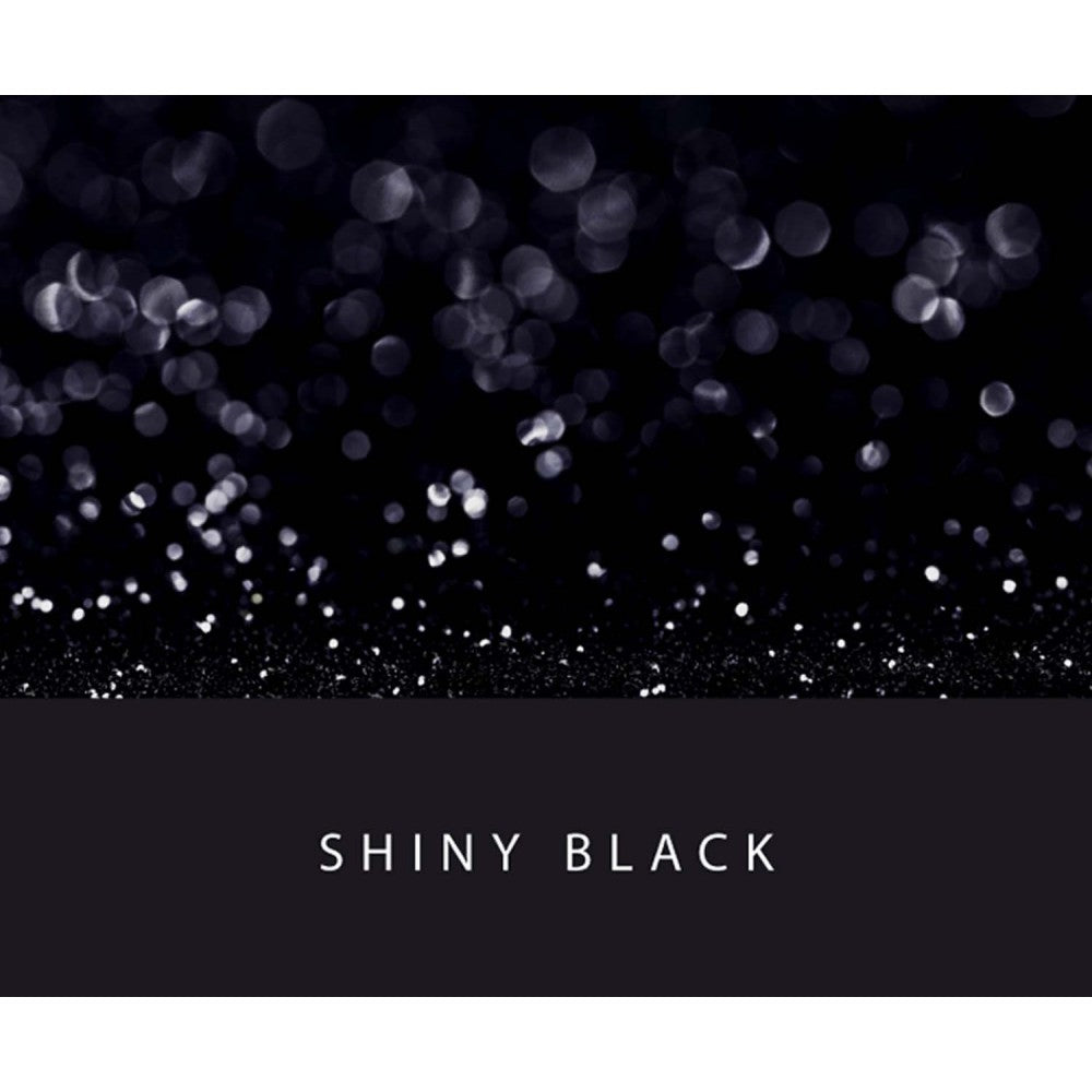 Colorverse 65ml Ink Bottle, Project Series, Shinny Black Glistening, Shimmer, Fountain Pen Ink, Dye Based, Nontoxic Silver Pigment Pearl,