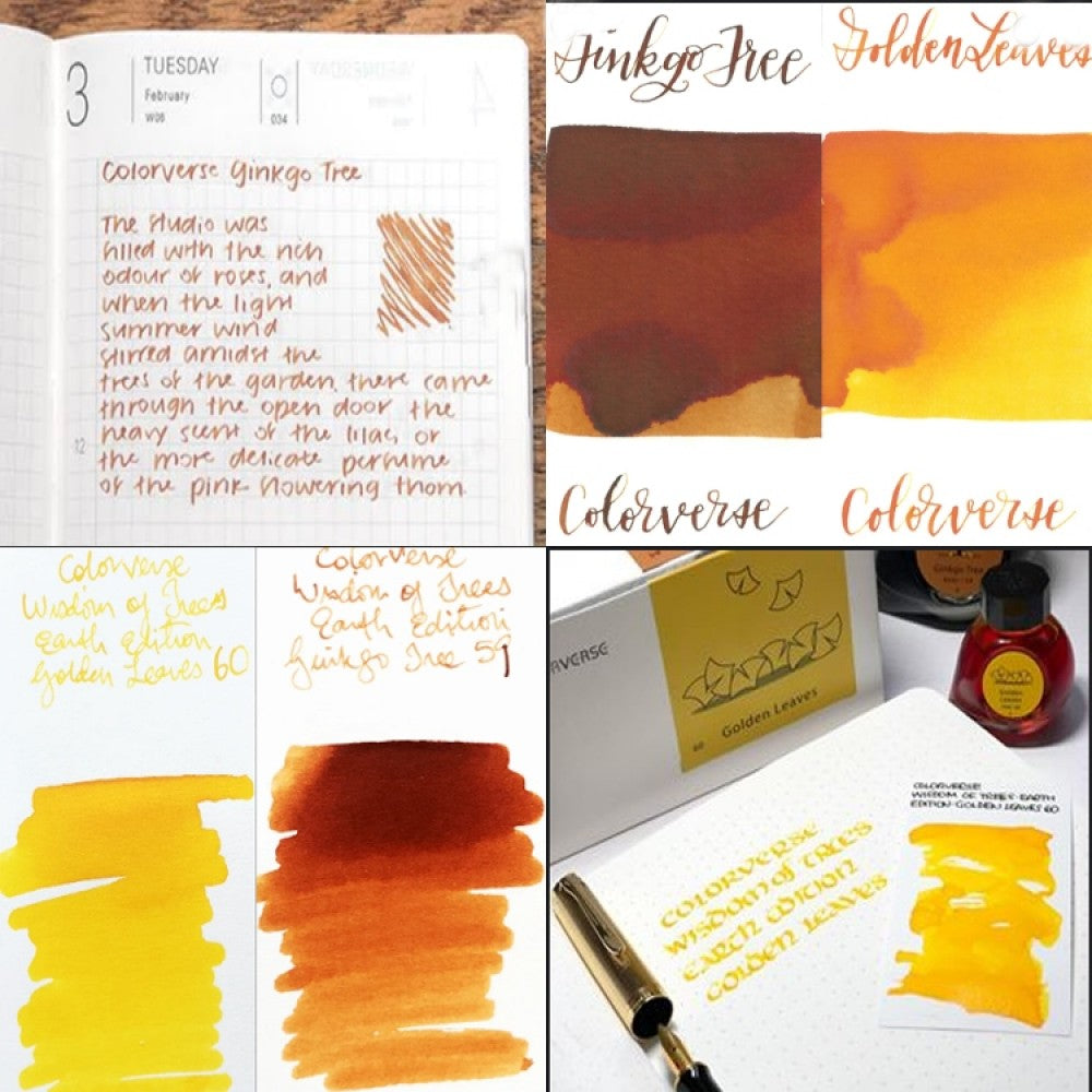 Colorverse Ginkgo Tree - Light Brown - Golden Leaves - Yellow- Fountain Pen Ink 59 - 60 Earth Edition, 65ml - 15ml - 2 Bottle Set, Dye-Based, Nontoxic, Made In Korea